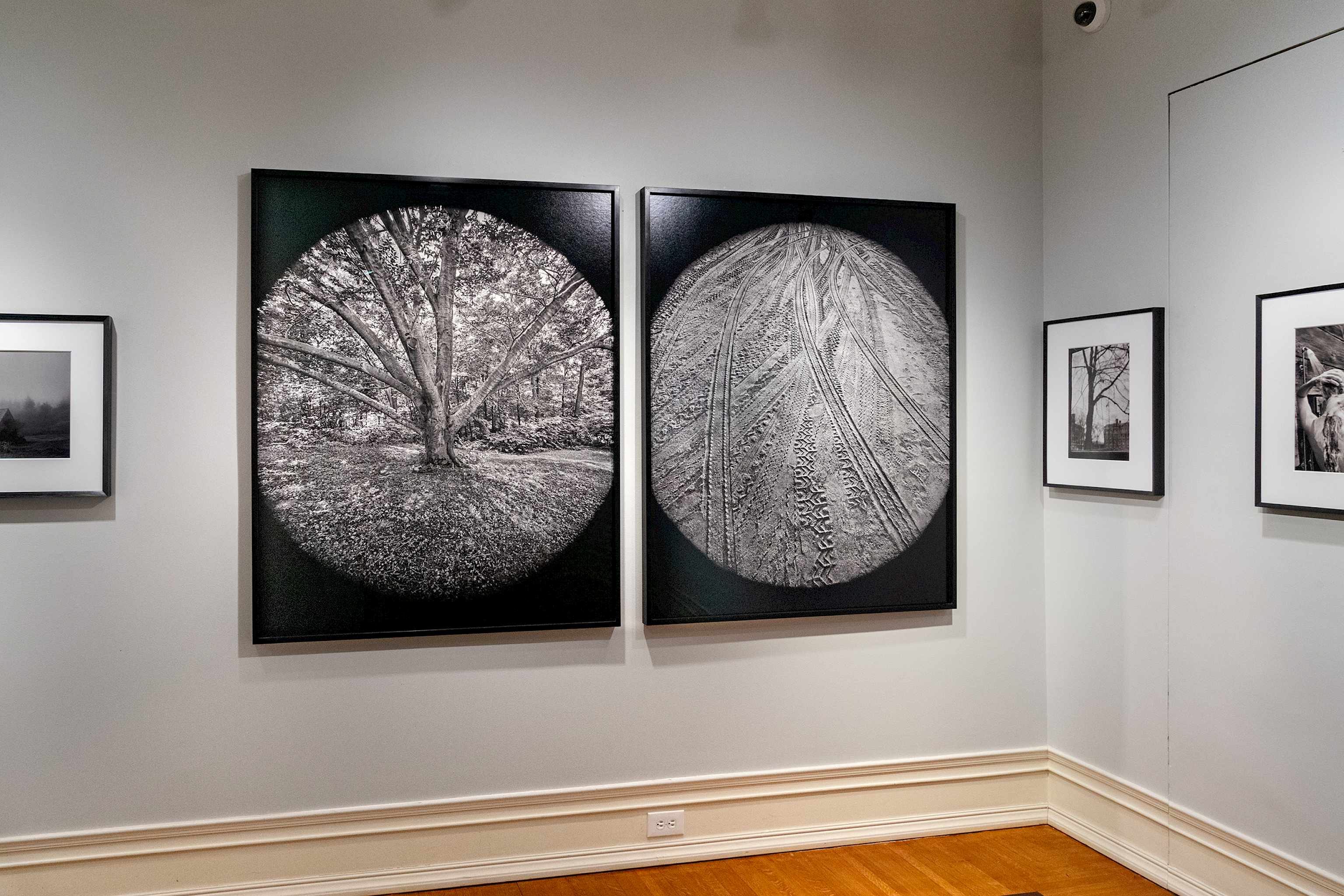 Installation view by Tim Burrough