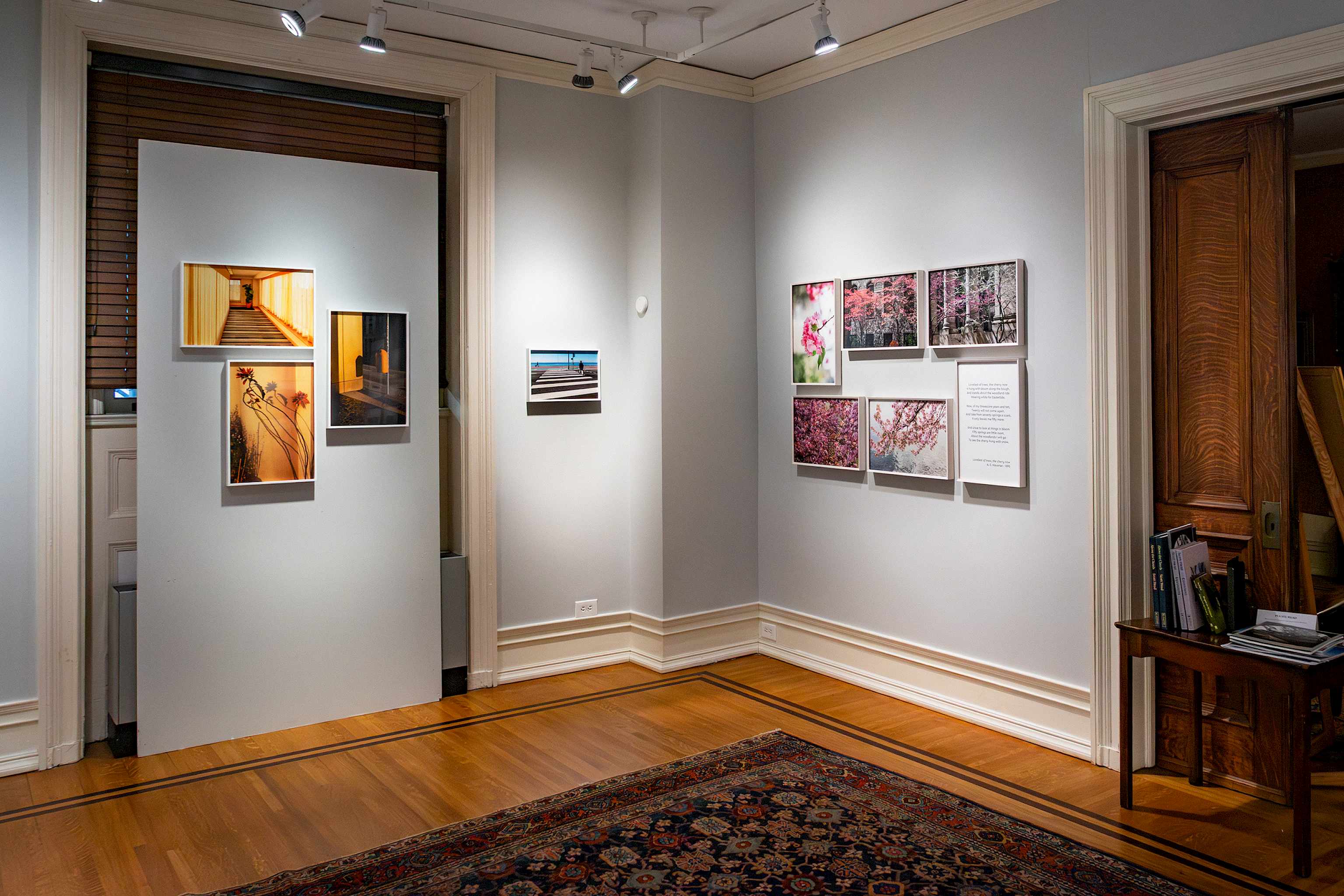 Installation view by Tim Burrough