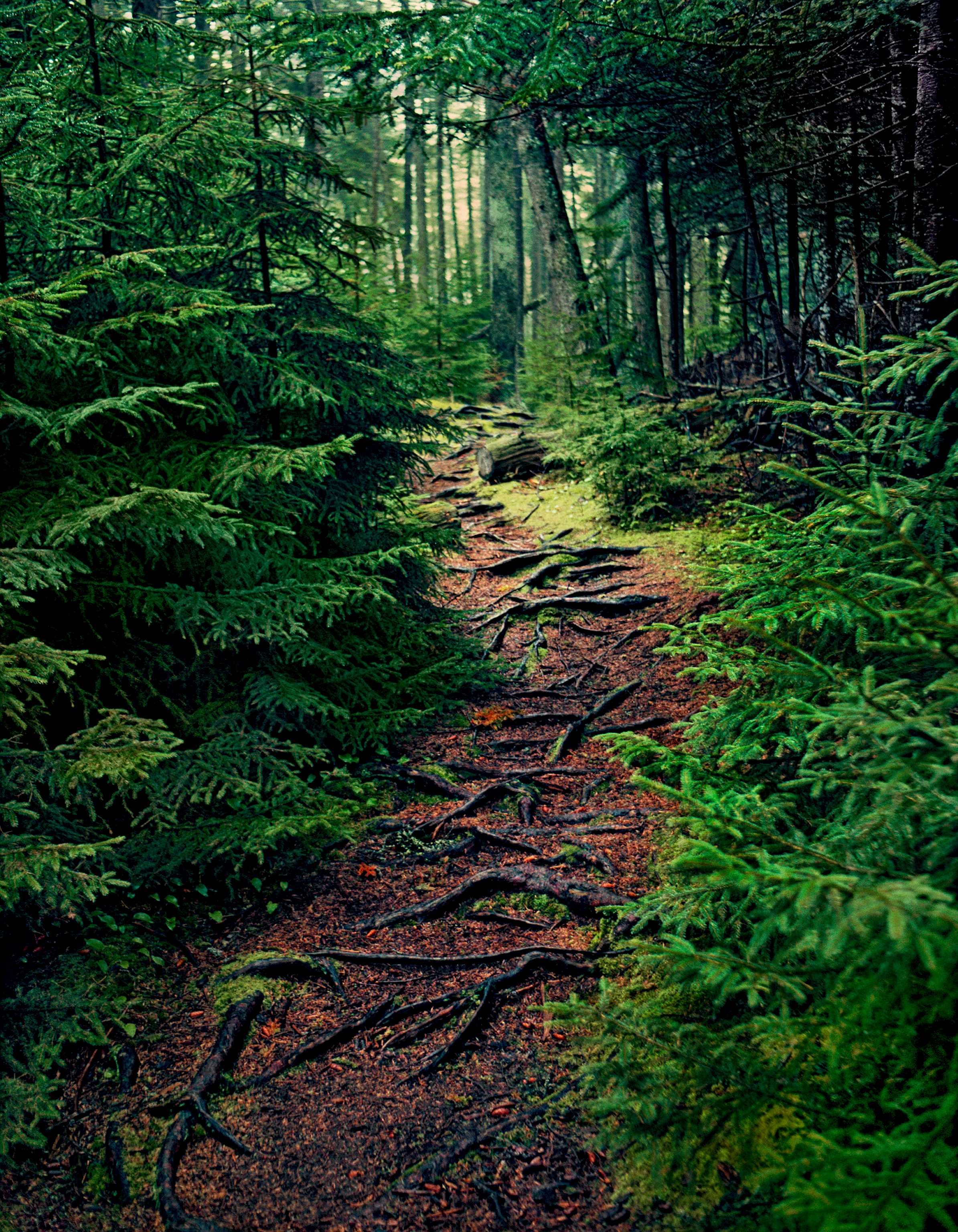 "The Next Step" by Scott Mead, 59 x 76 x 4cm, archival pigment print from slide film.